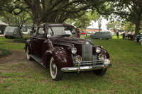 DSC_5203.jpg